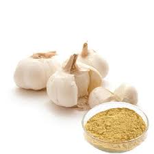 Lasuna Bulb (Garlic Extract)